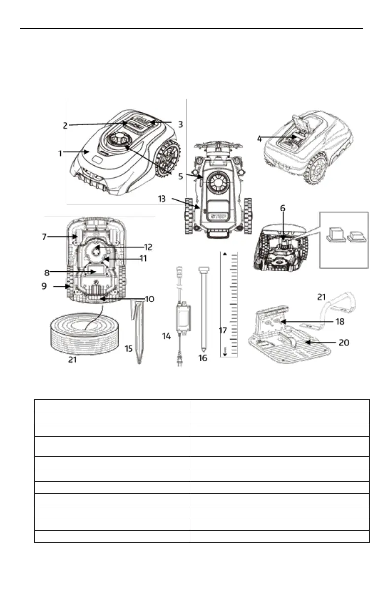 Page #10 background image