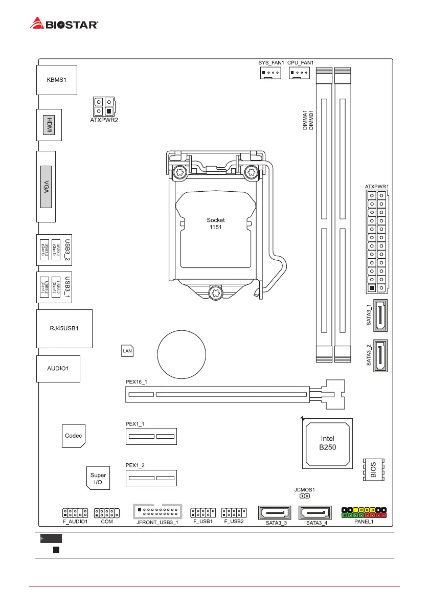 Page #6 background image