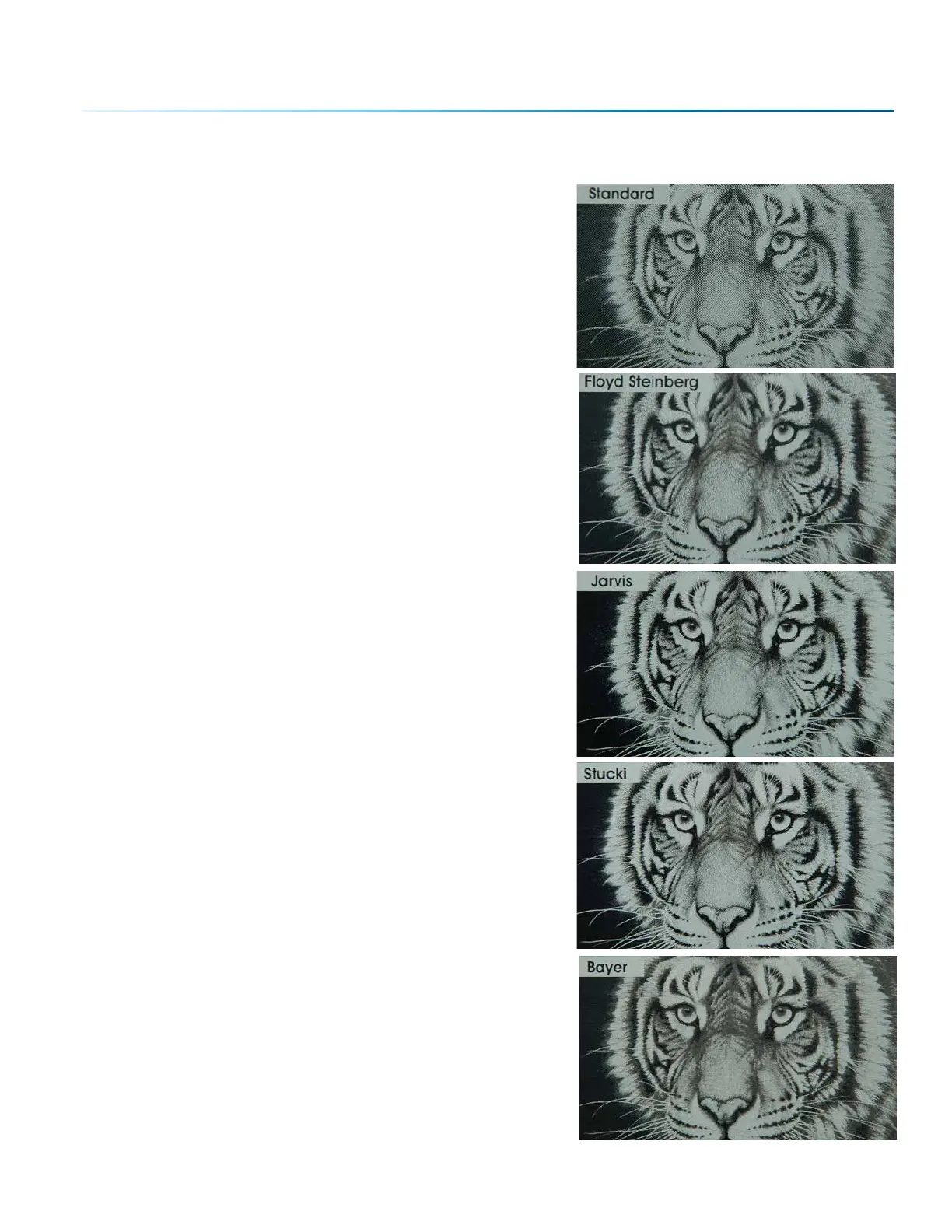 Page #119 background image