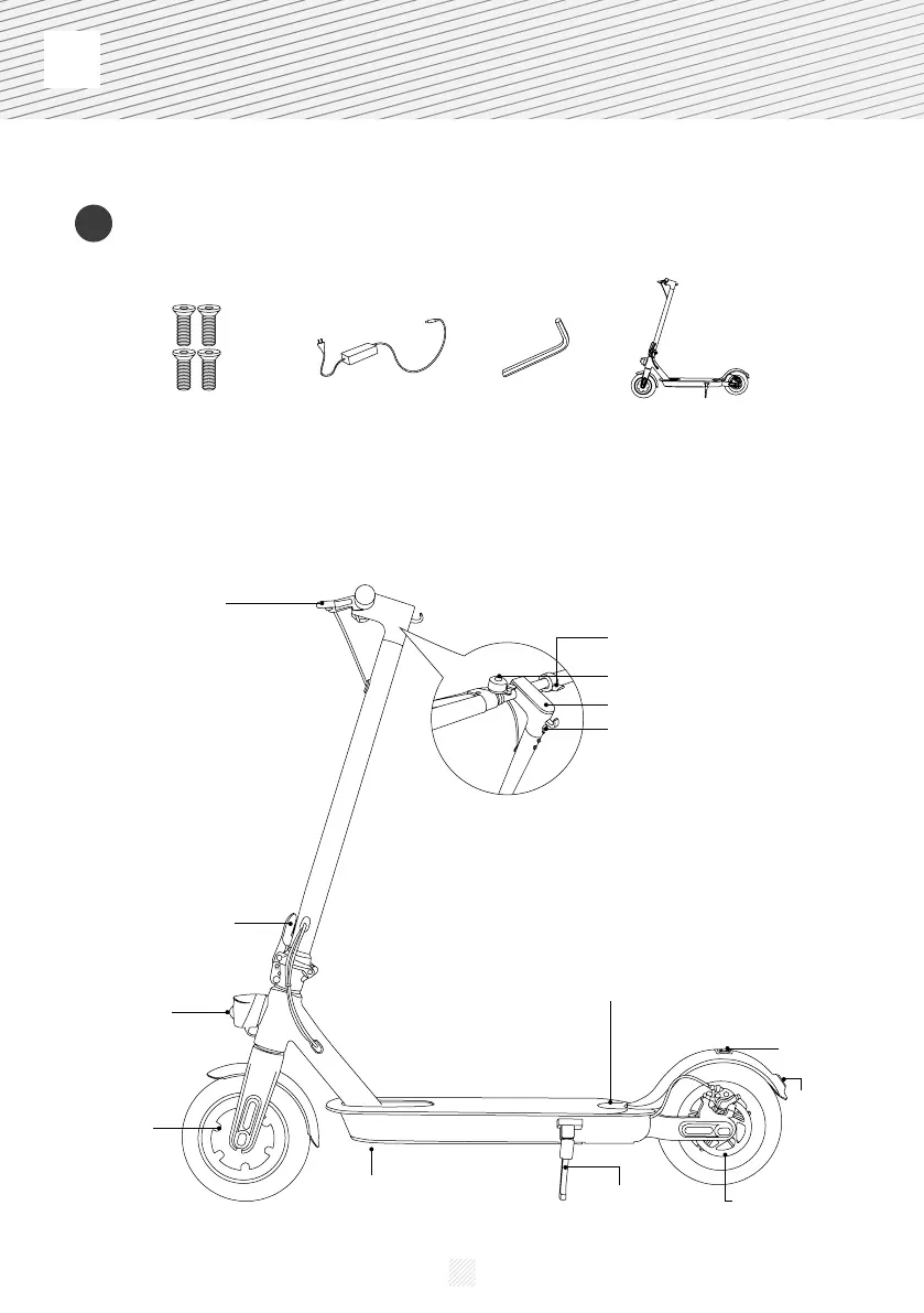 Page #16 background image