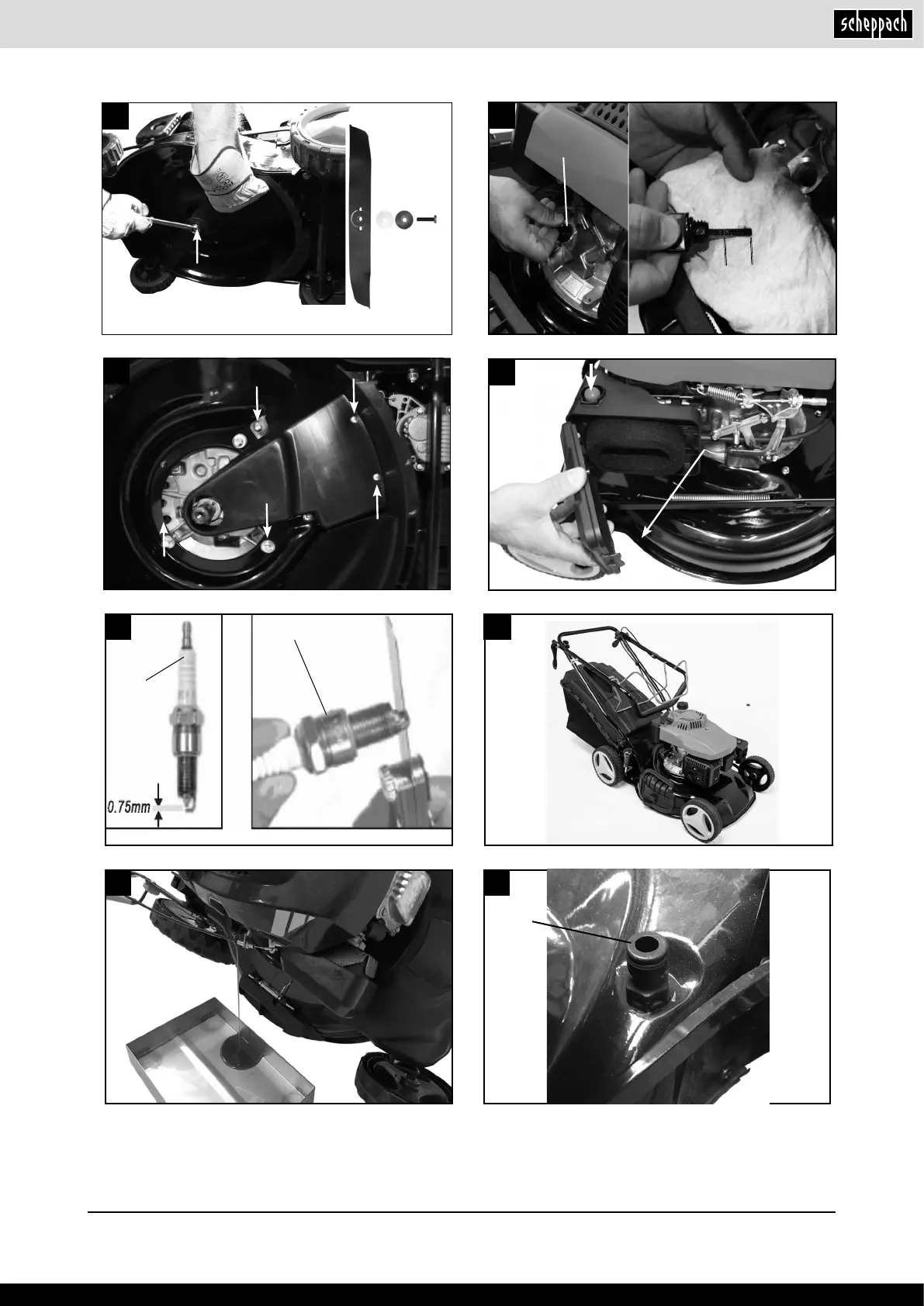 Page #5 background image