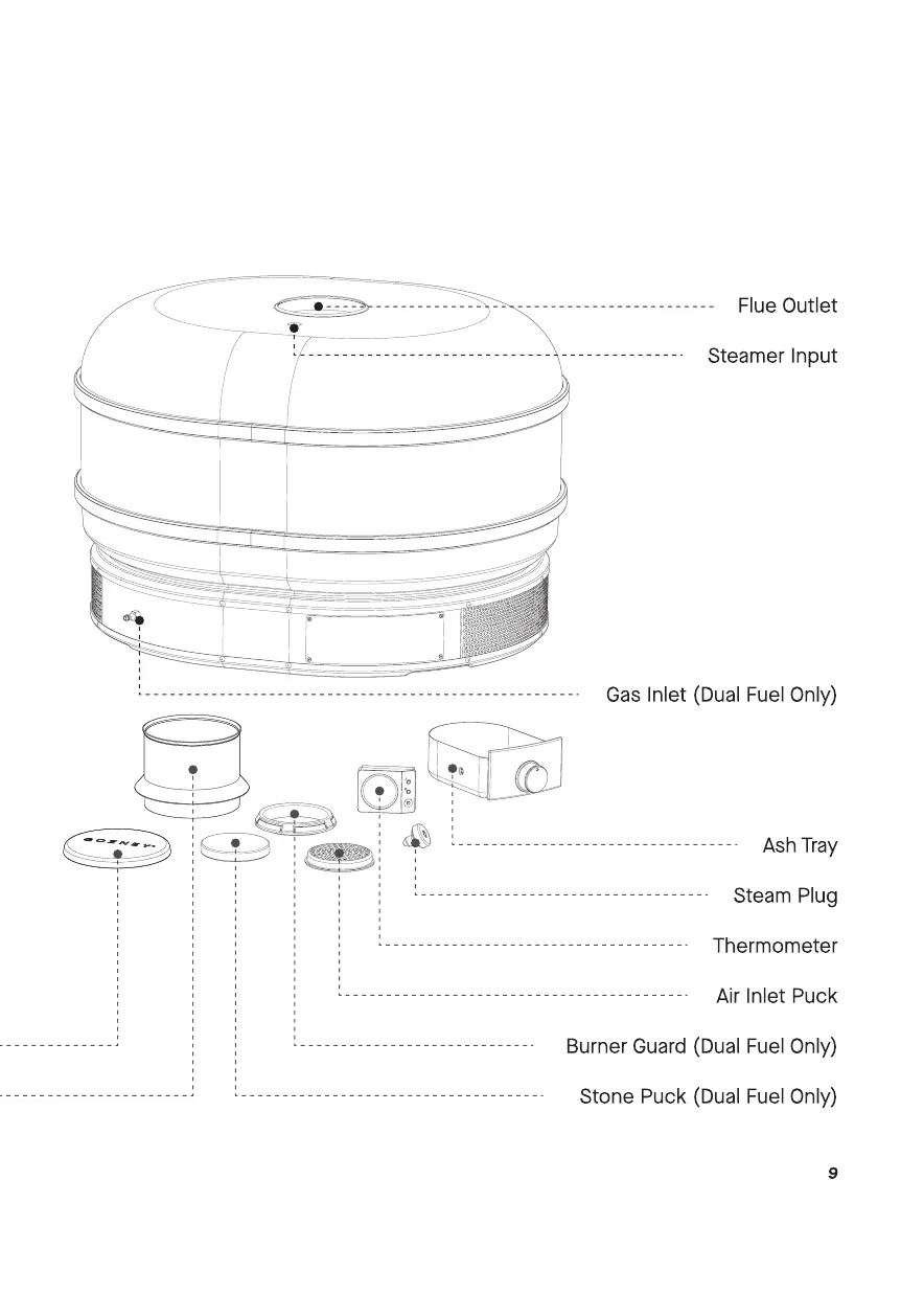 Page #9 background image