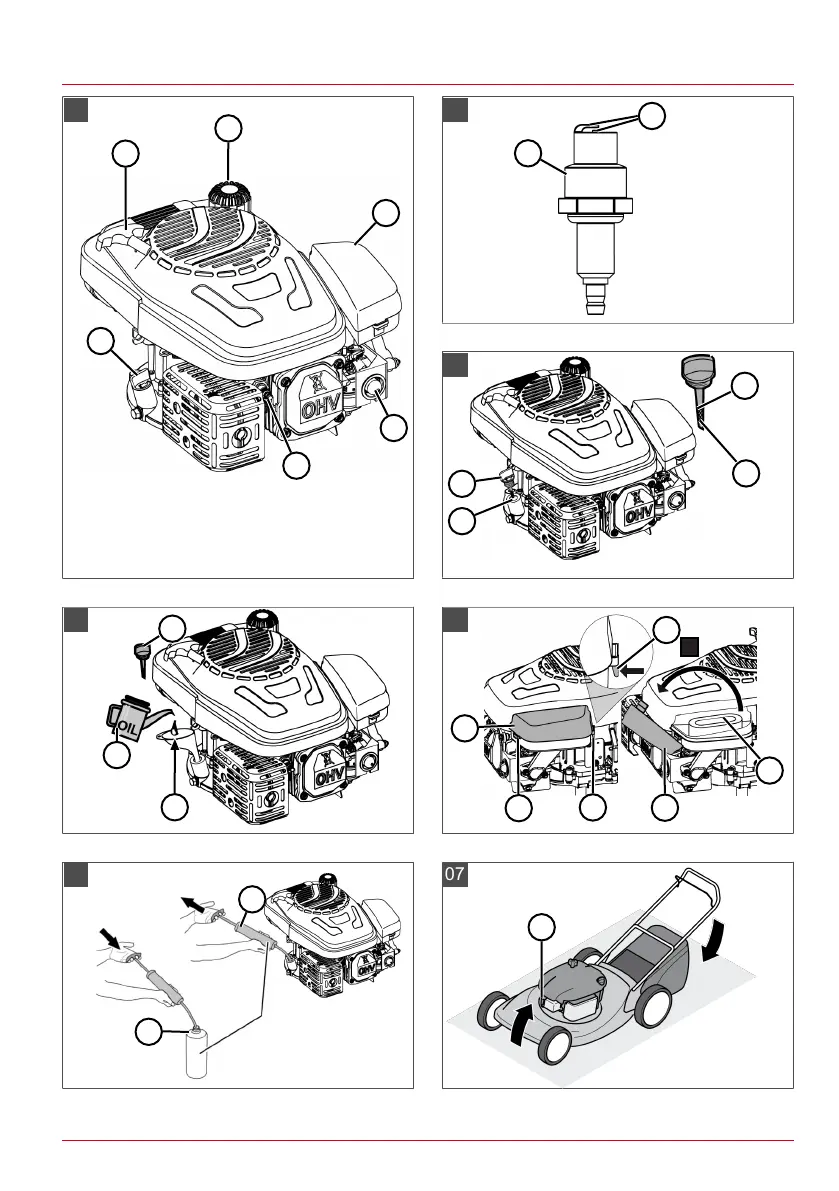 Page #3 background image