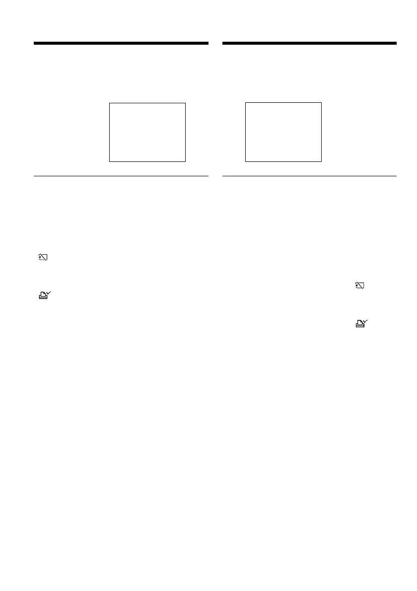 Page #216 background image