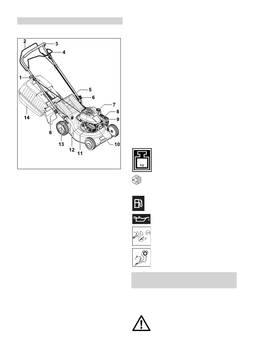 Page #36 background image
