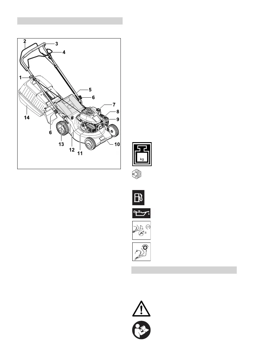 Page #183 background image