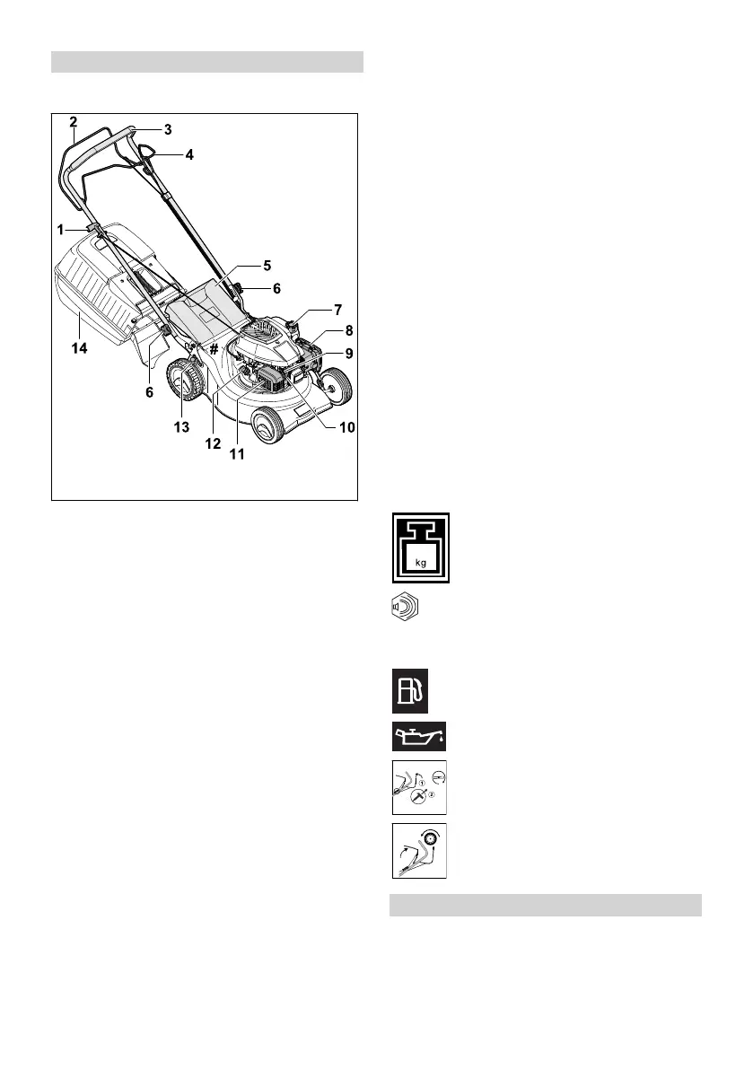 Page #235 background image