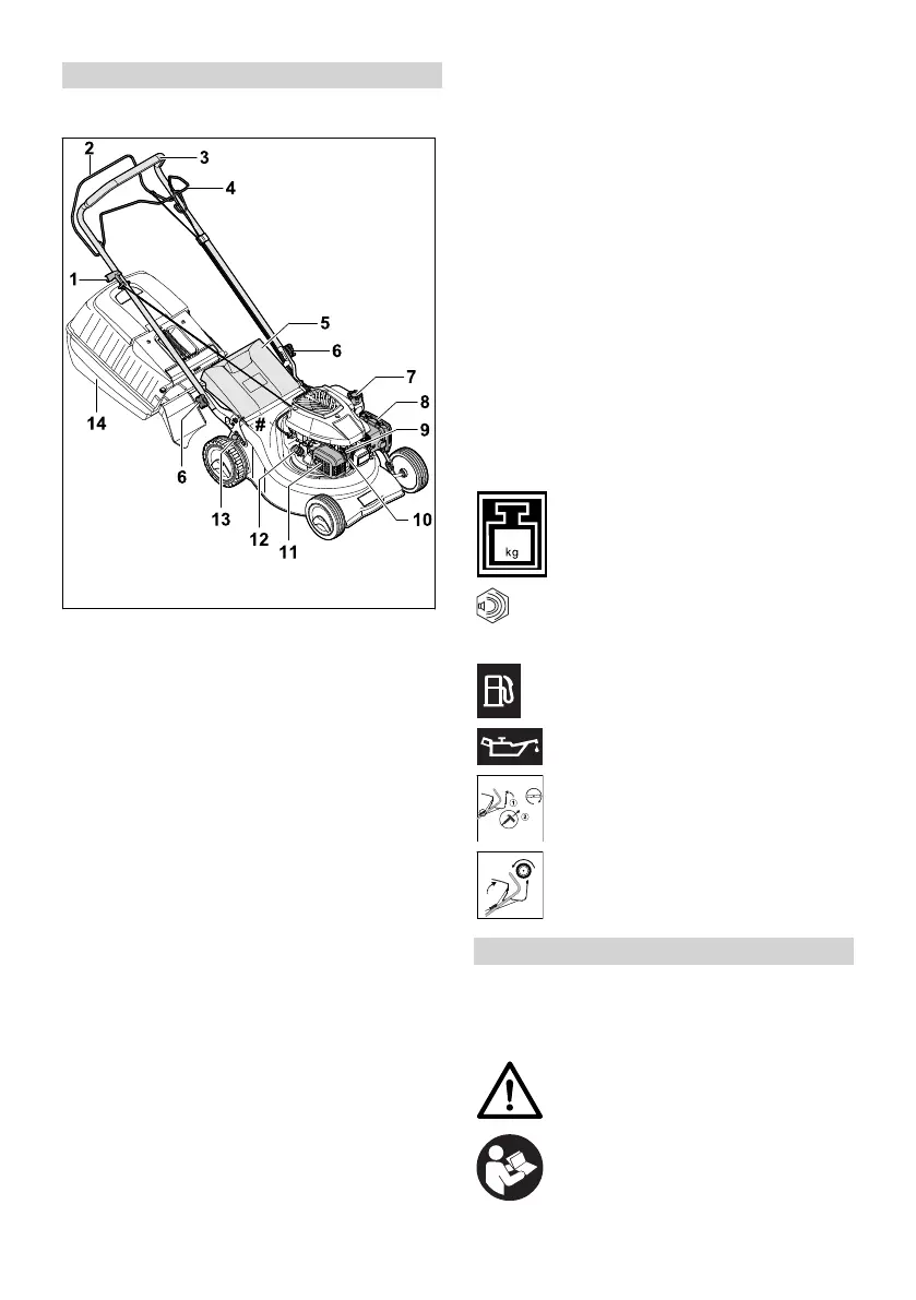 Page #291 background image