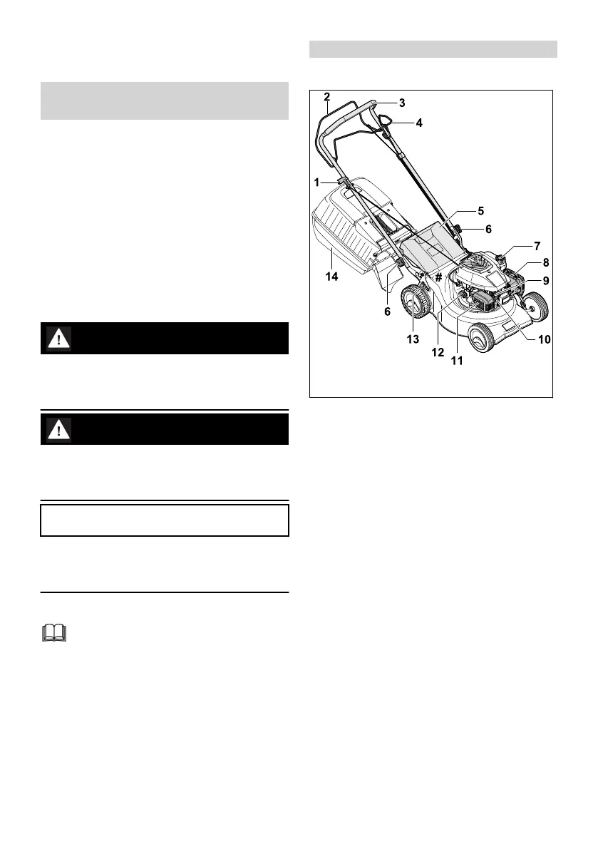 Page #307 background image