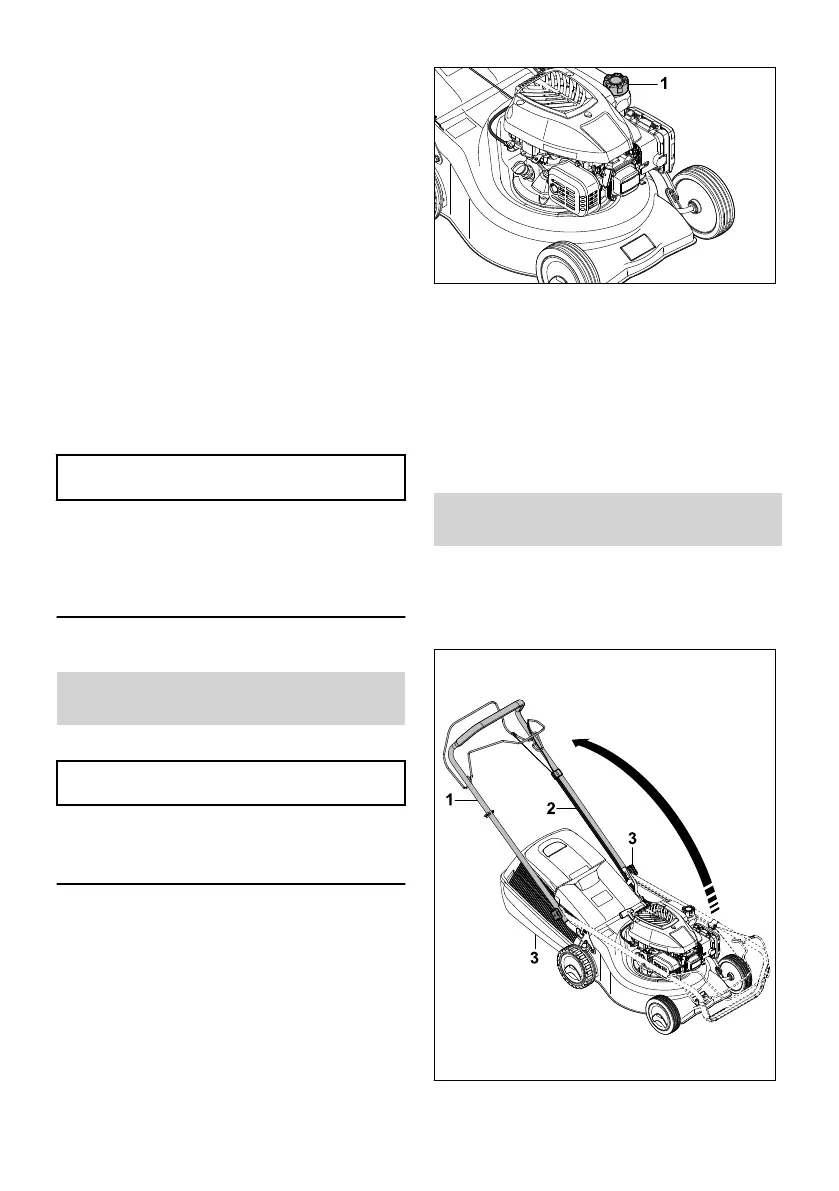 Page #363 background image