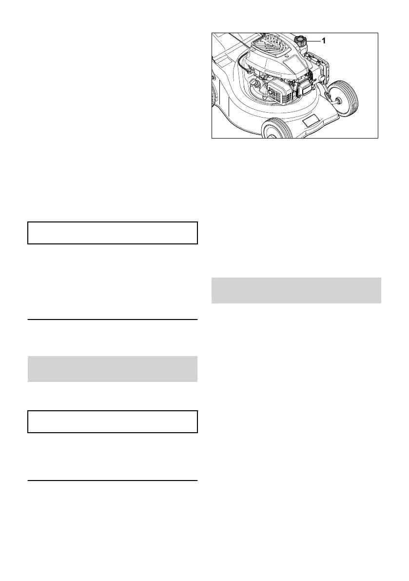 Page #447 background image