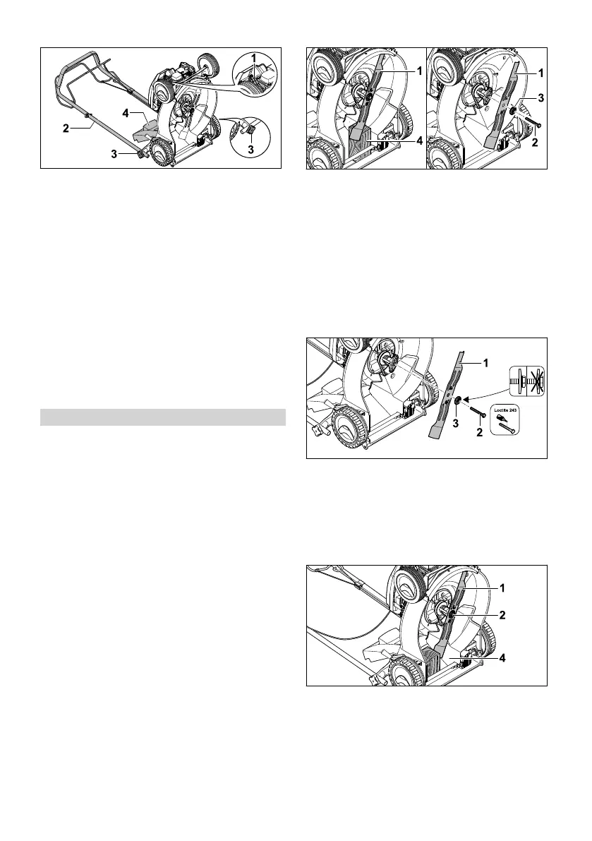 Page #230 background image