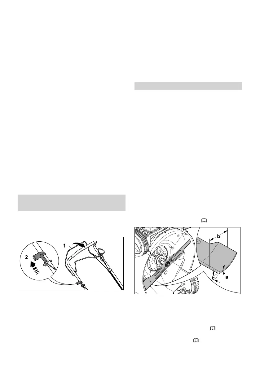 Page #244 background image