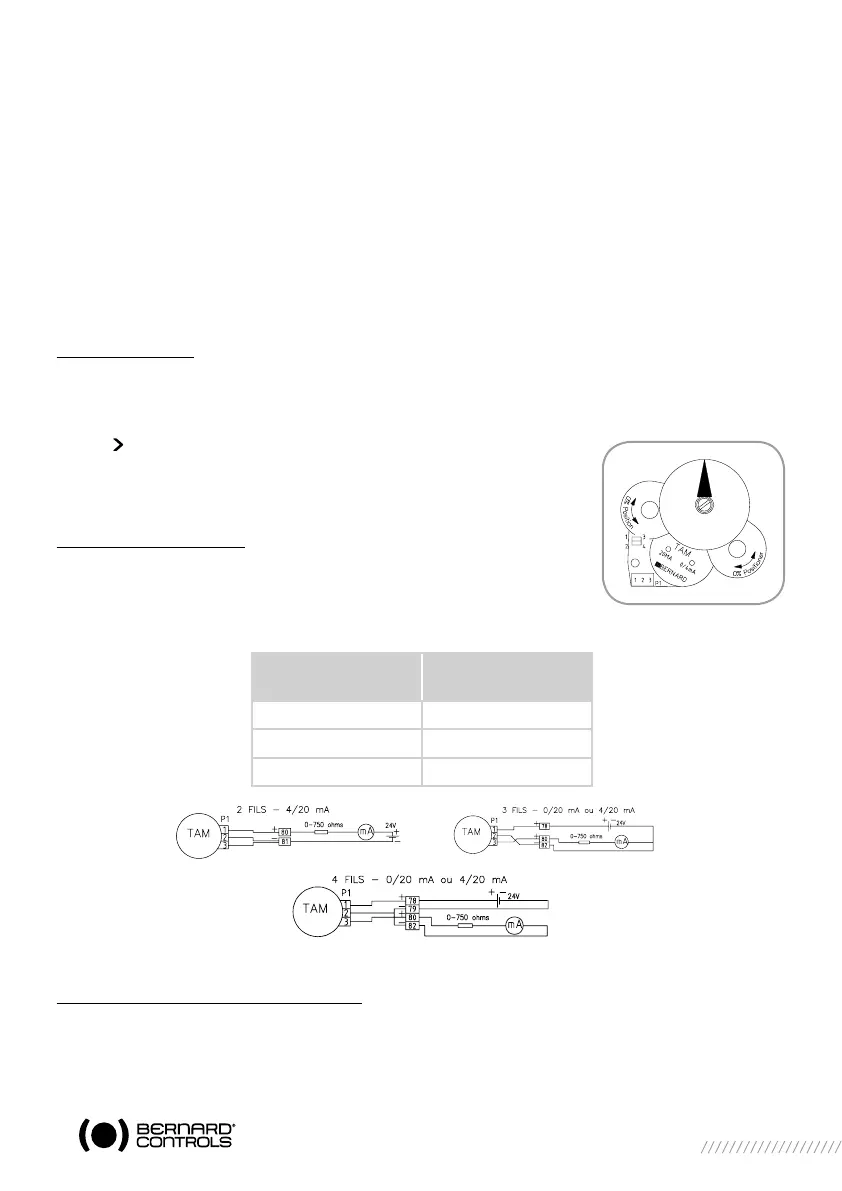 Page #21 background image