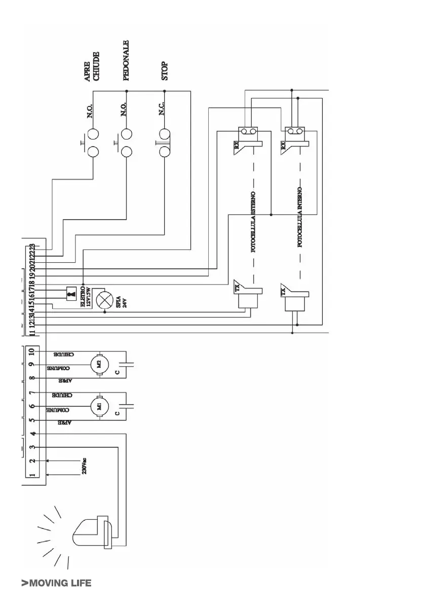 Page #3 background image