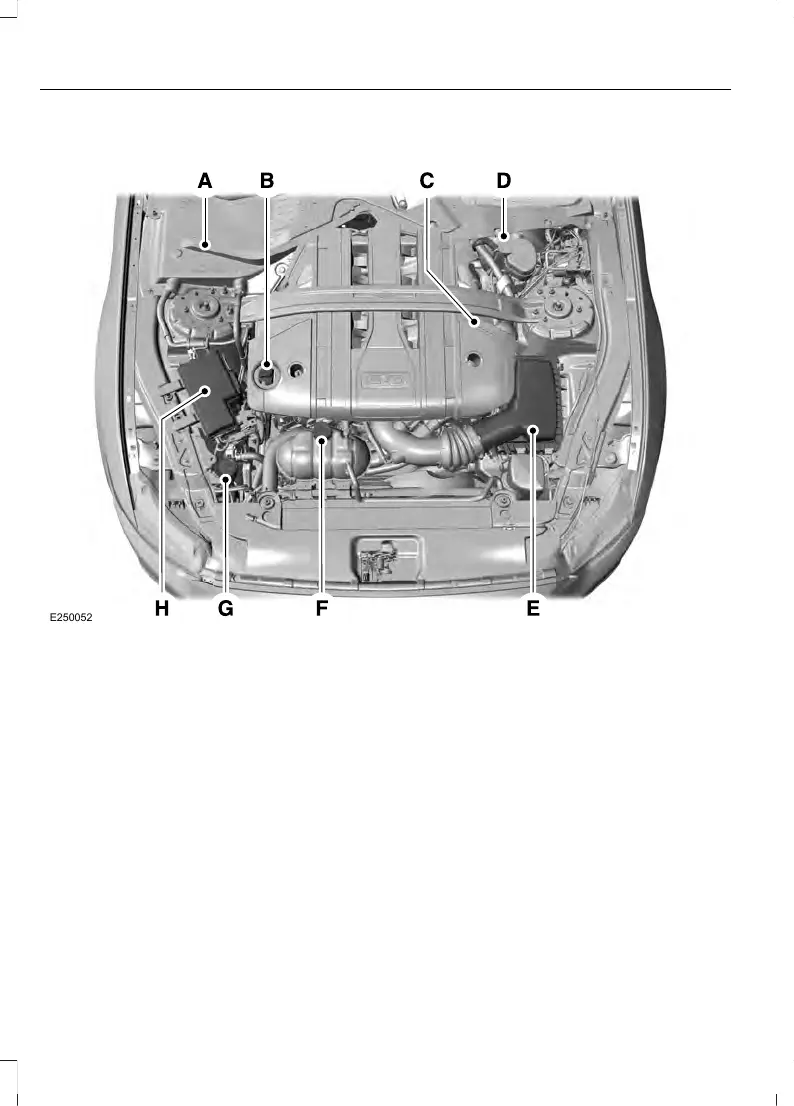 Page #233 background image