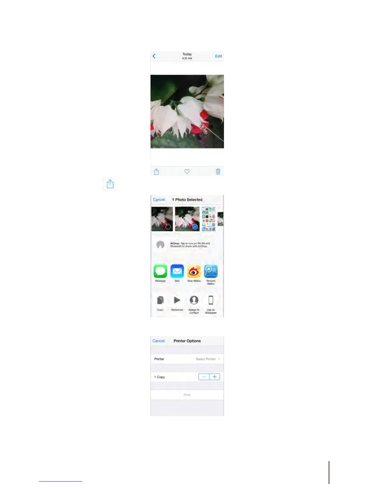 Page #63 background image