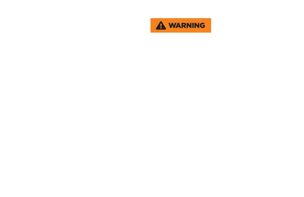 Page #250 background image