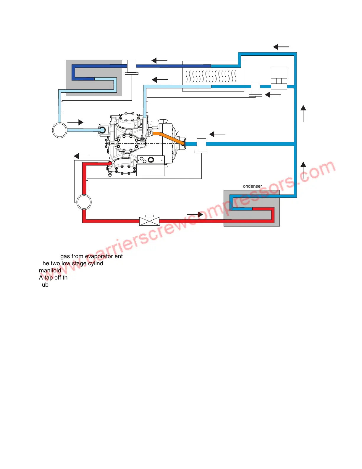 Page #4 background image