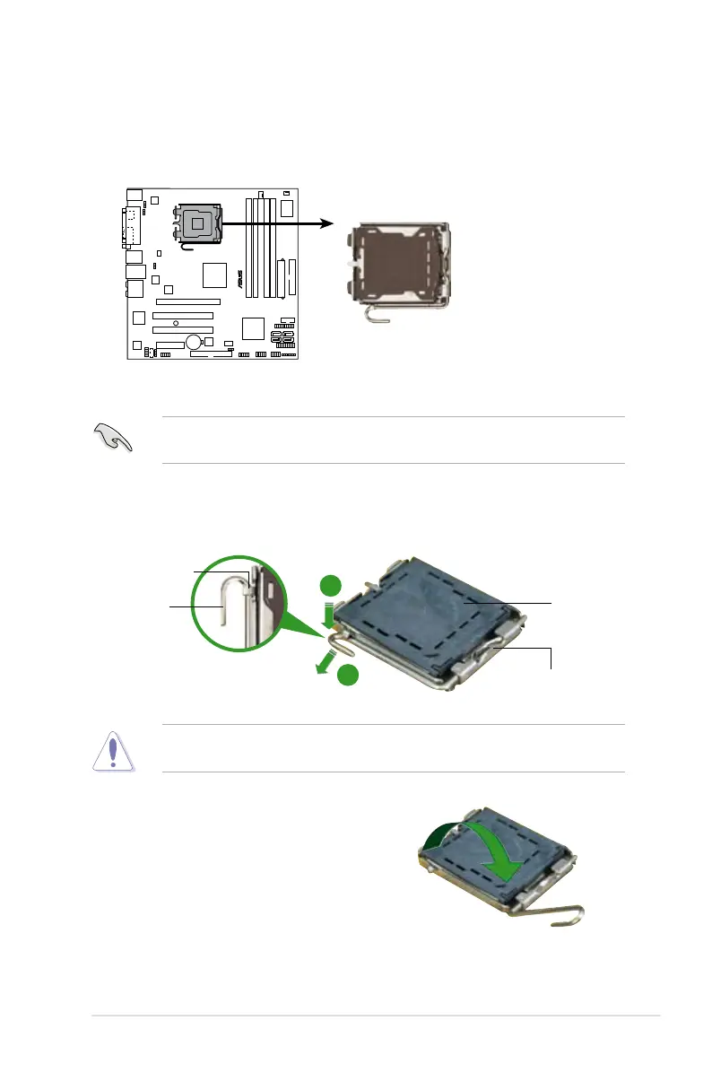Page #23 background image