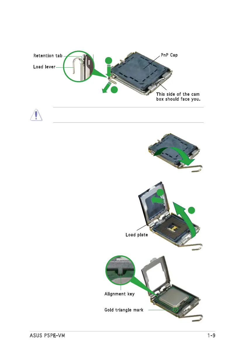 Page #21 background image