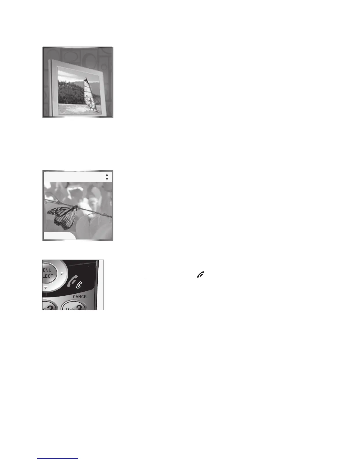 Page #44 background image