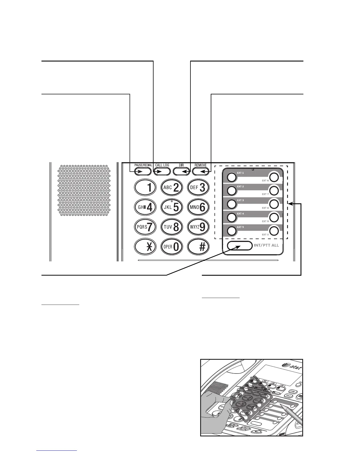 Page #8 background image