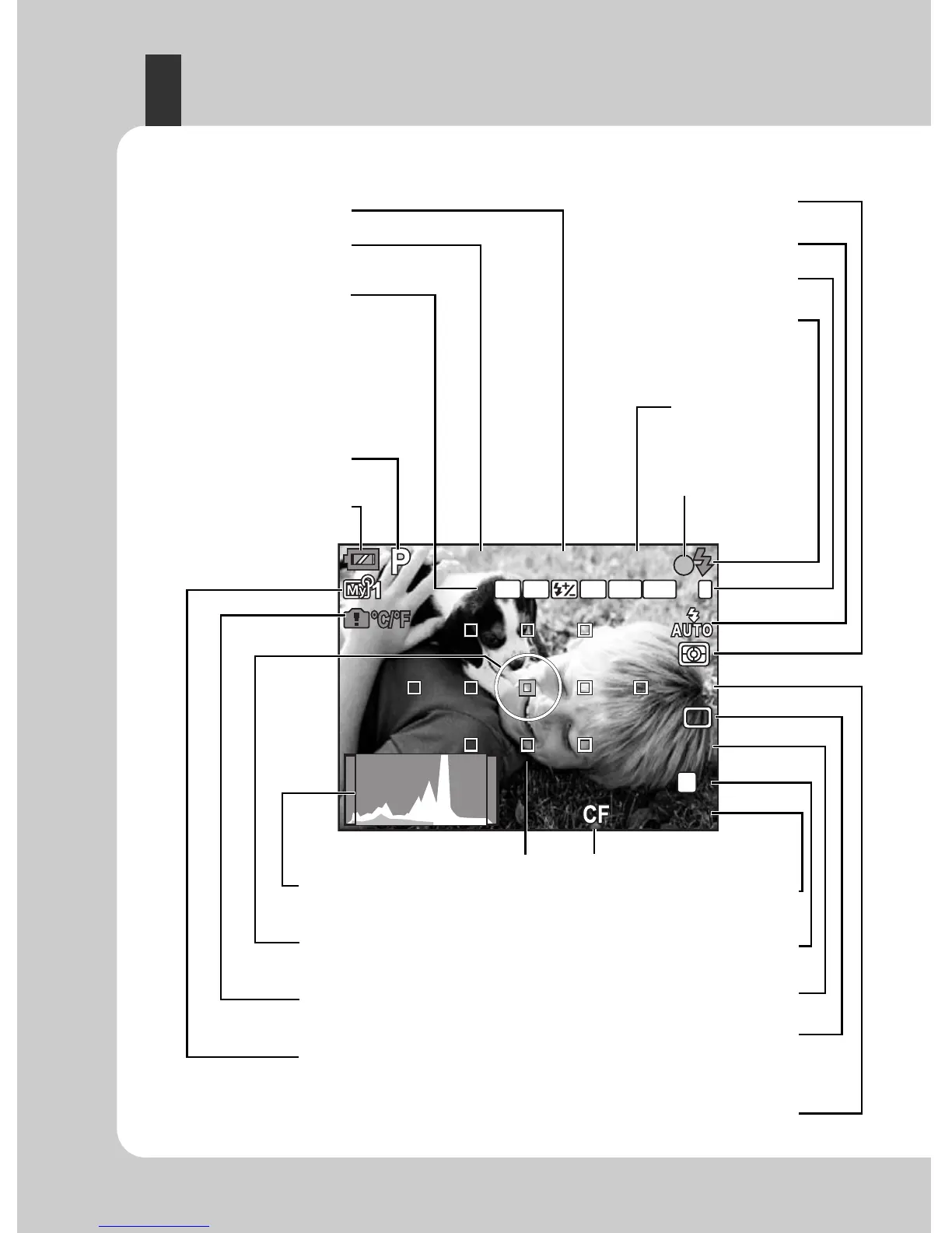 Page #8 background image