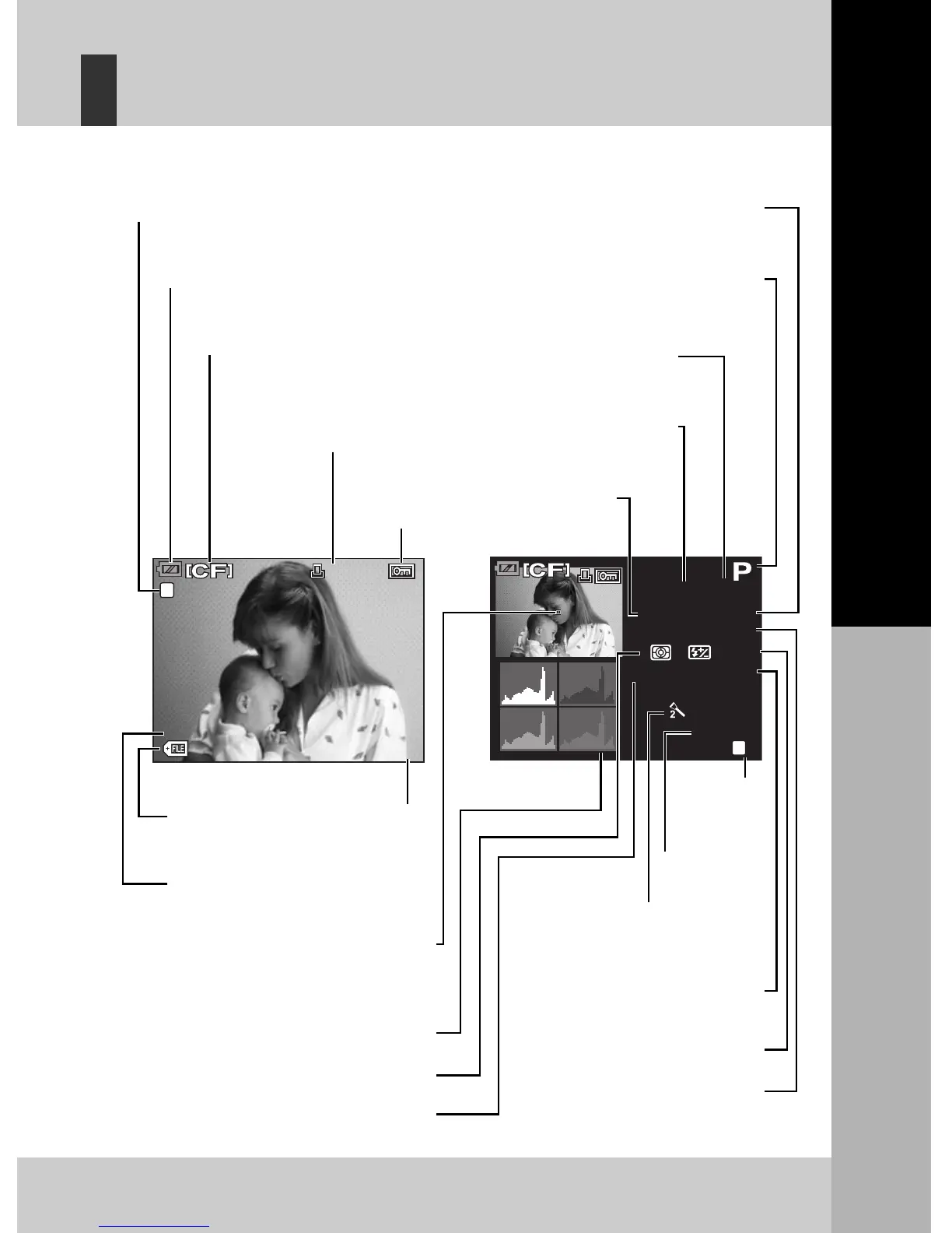 Page #9 background image