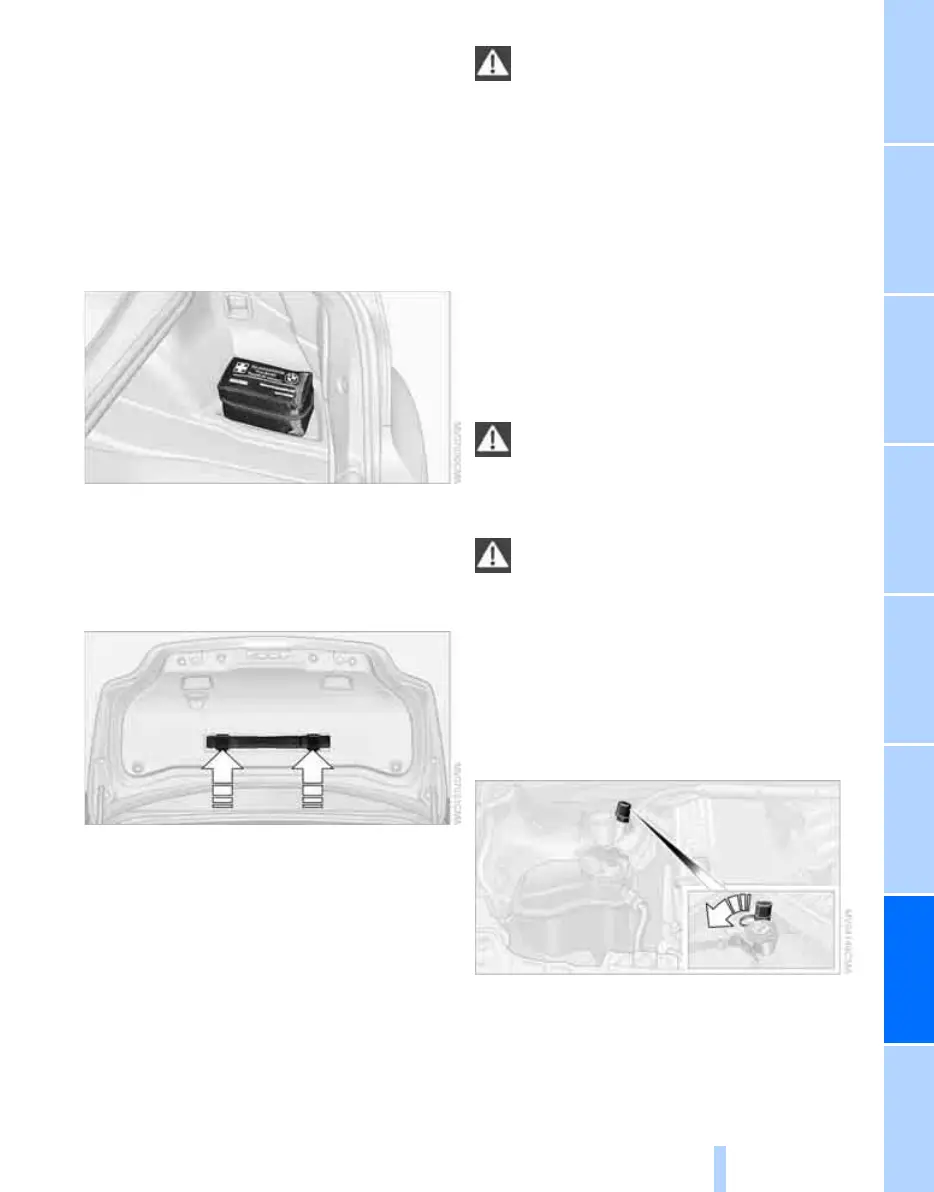 Page #237 background image