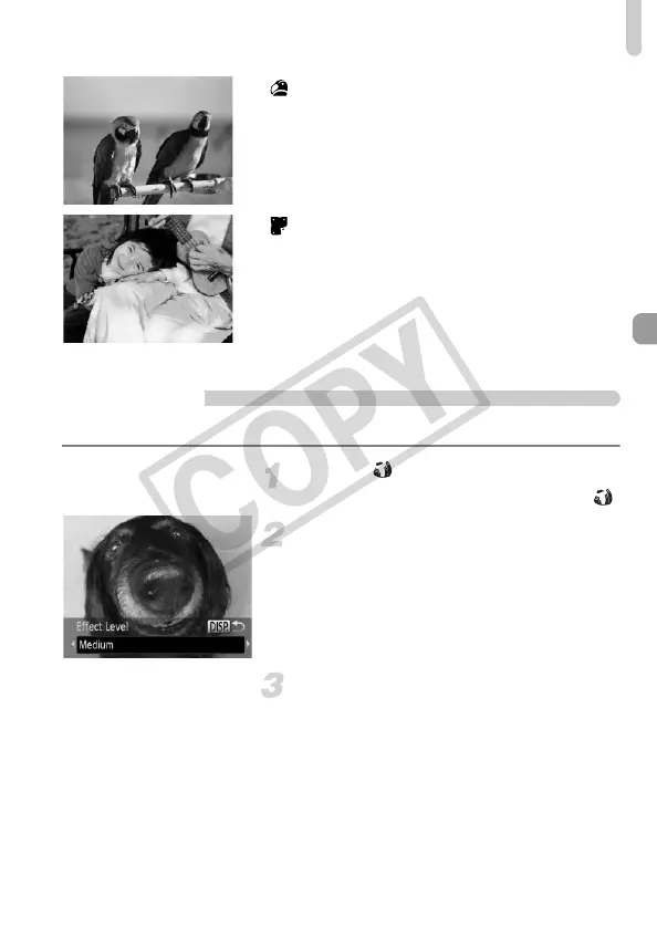 Page #69 background image