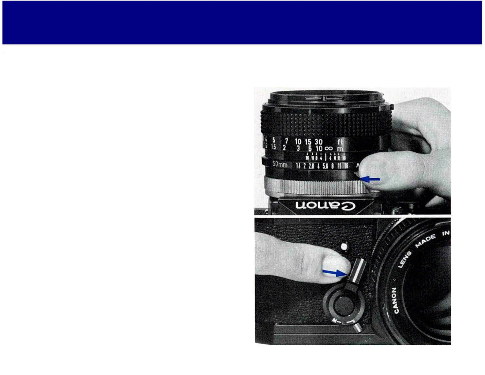Page #46 background image
