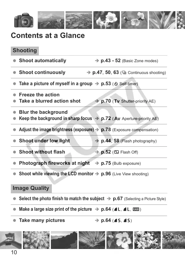 Page #10 background image