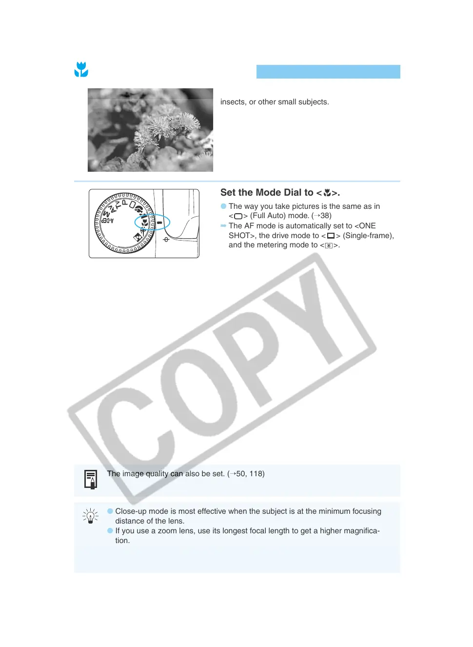 Page #46 background image