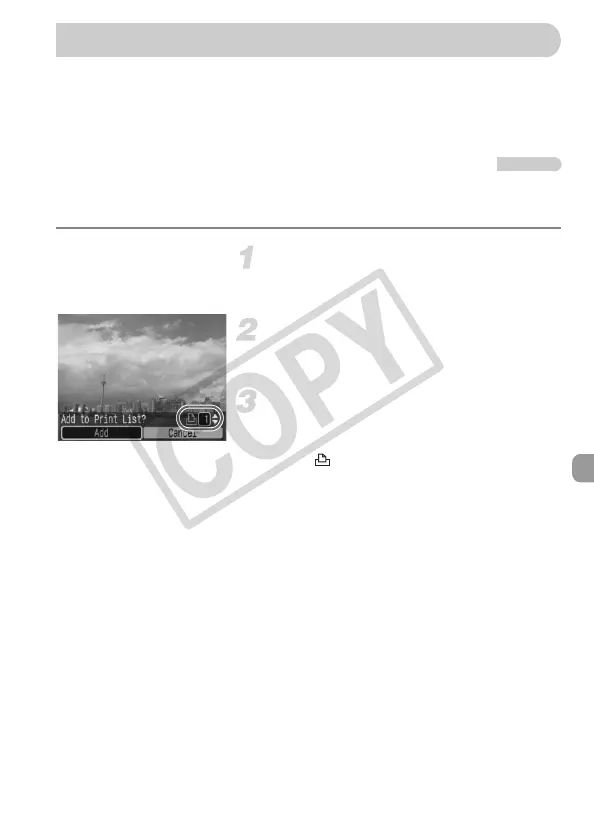 Page #111 background image