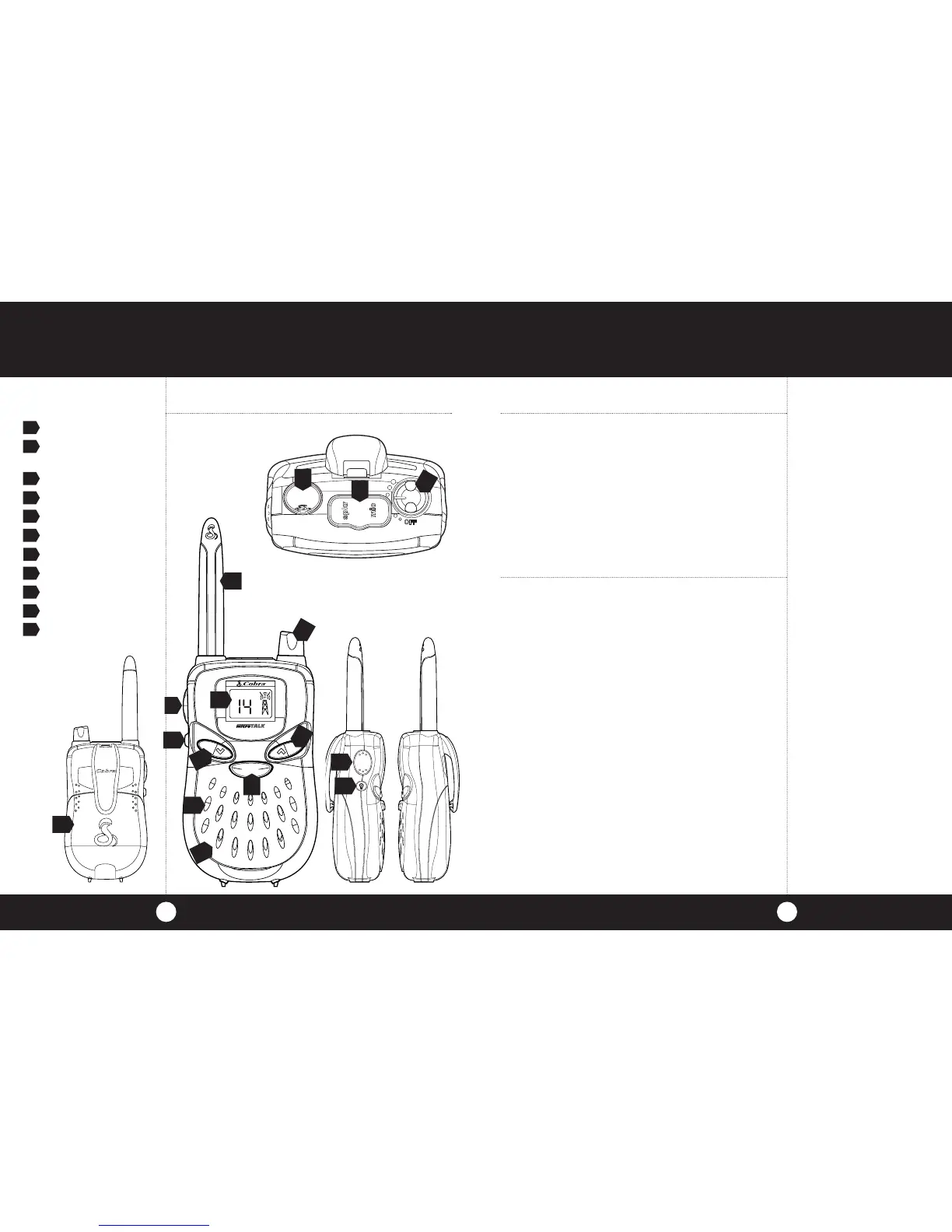 Page #3 background image