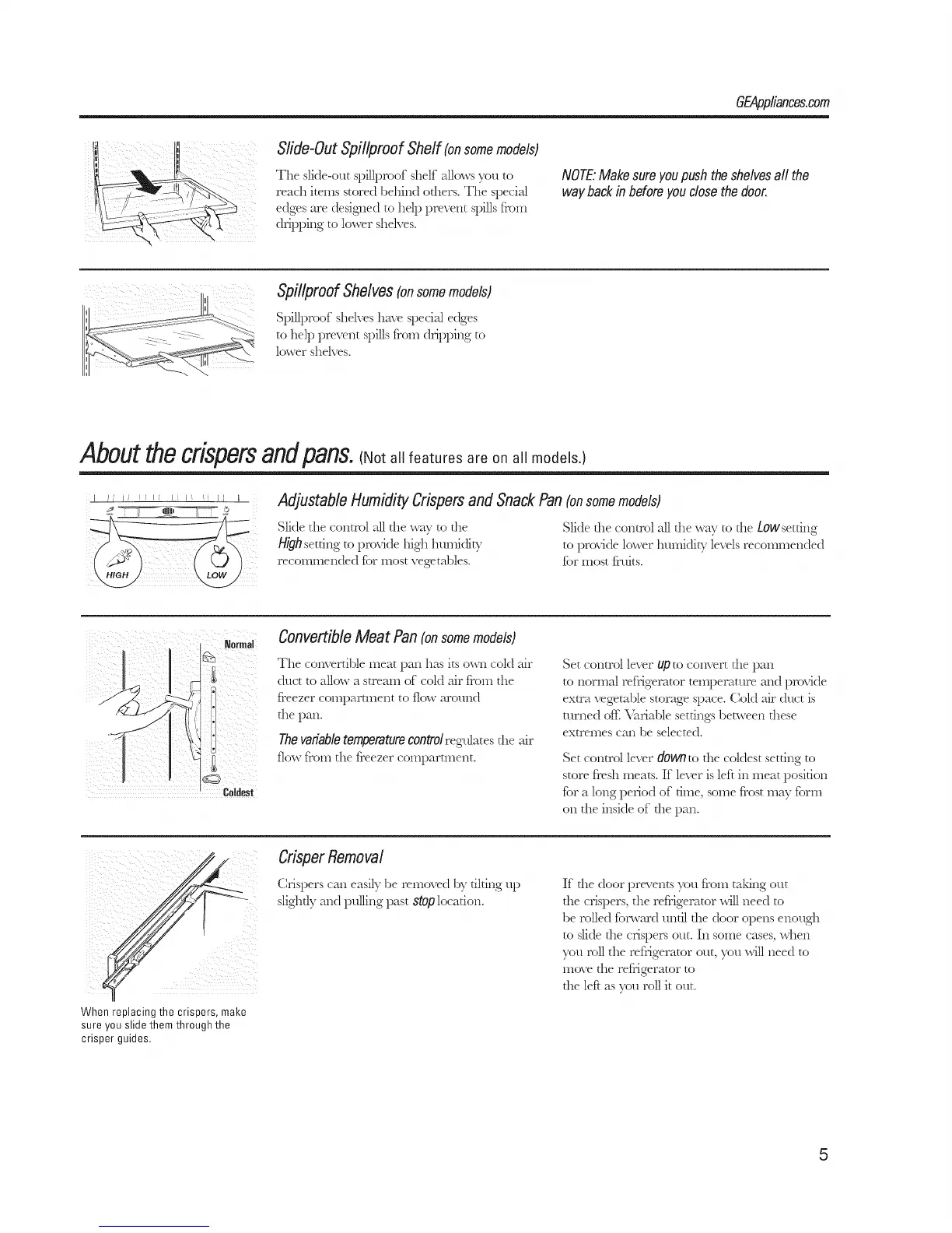 Page #5 background image
