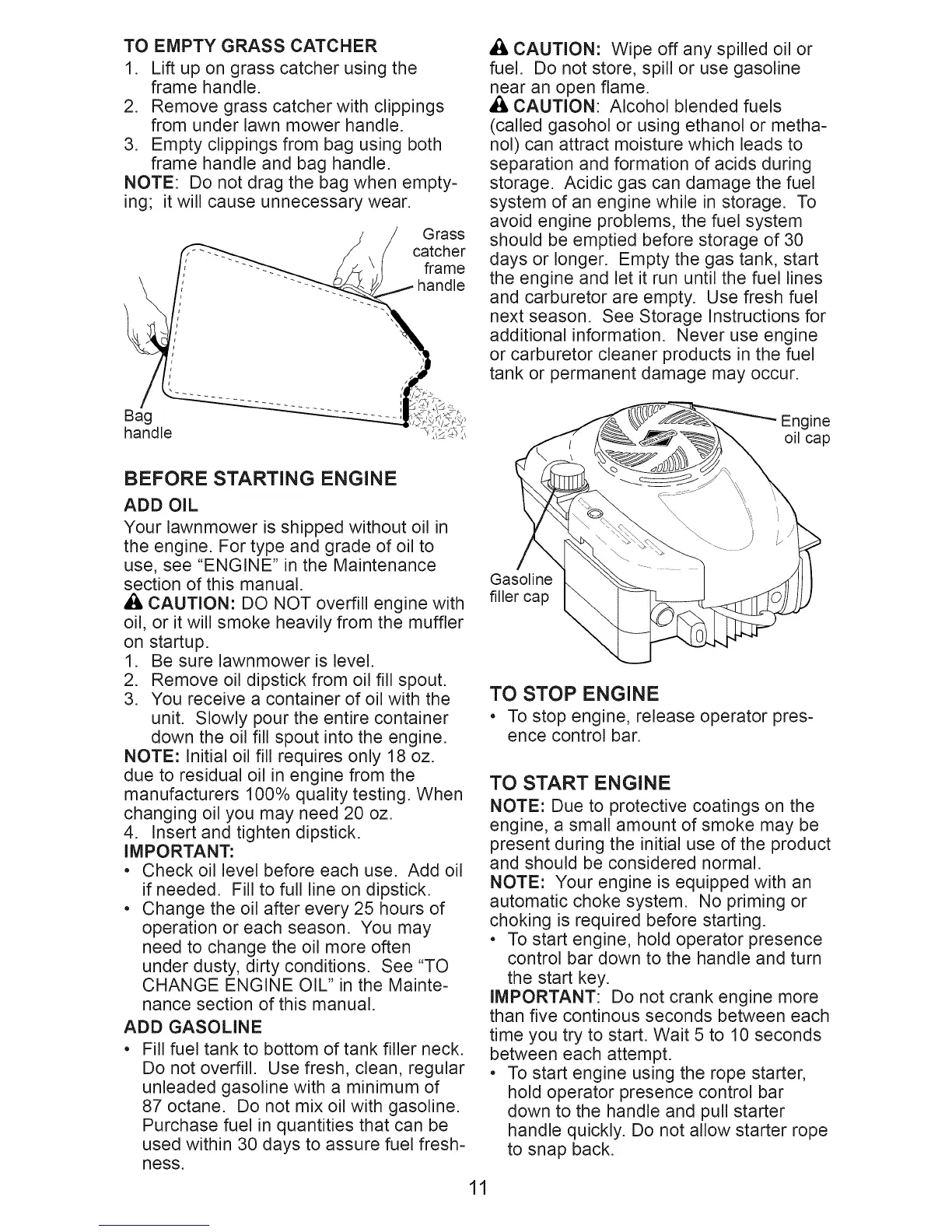 Page #11 background image