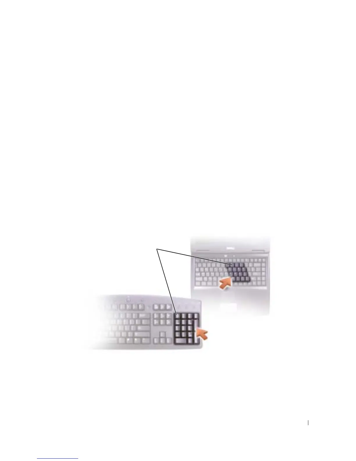 Page #41 background image