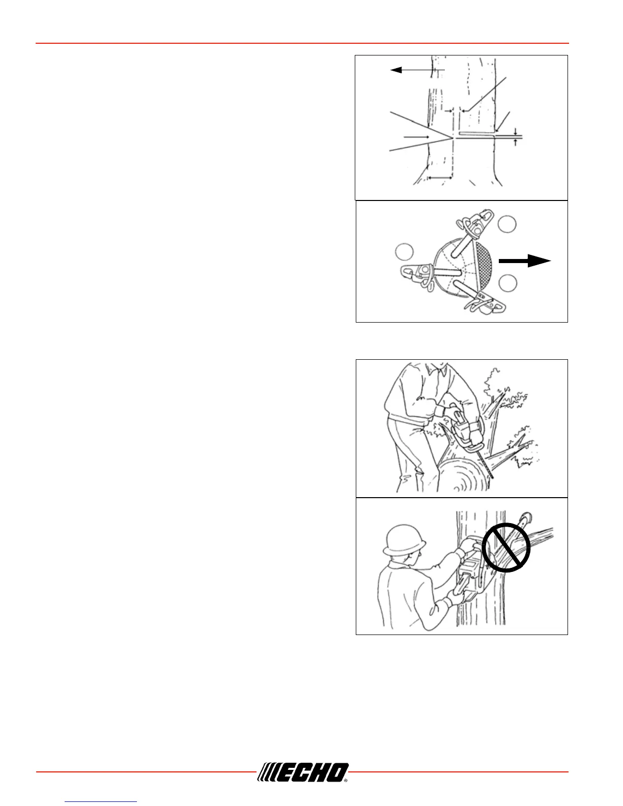 Page #24 background image