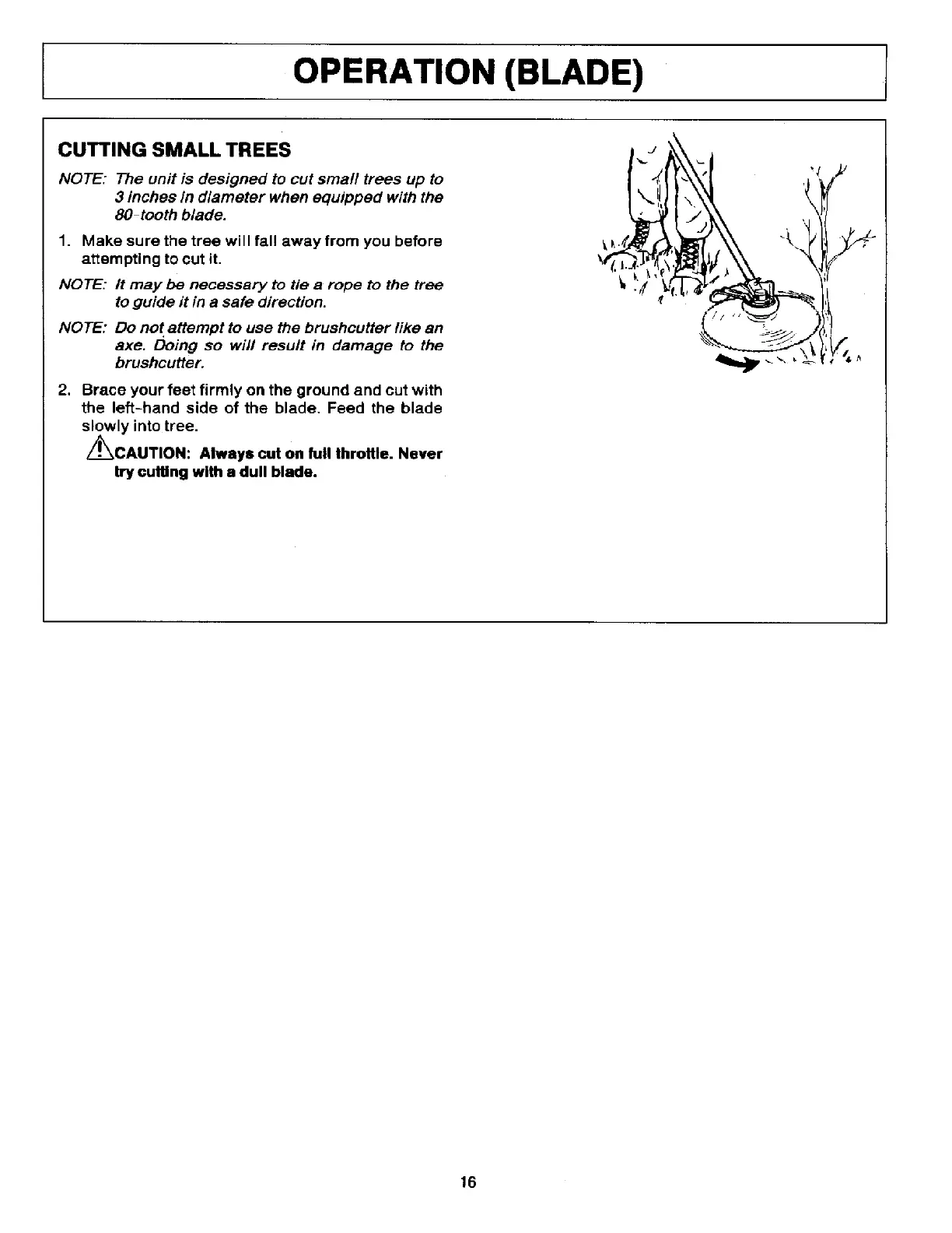 Page #17 background image