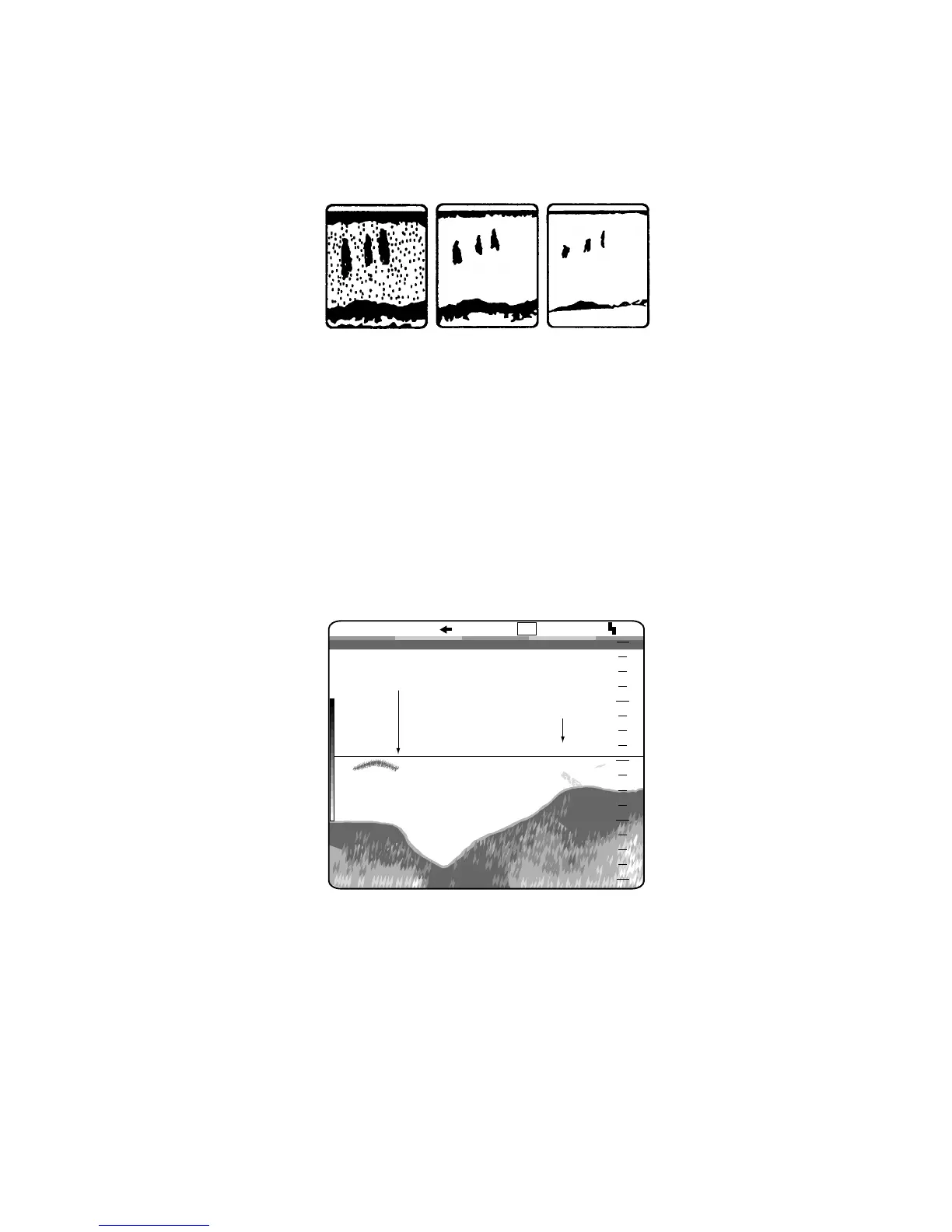 Page #21 background image