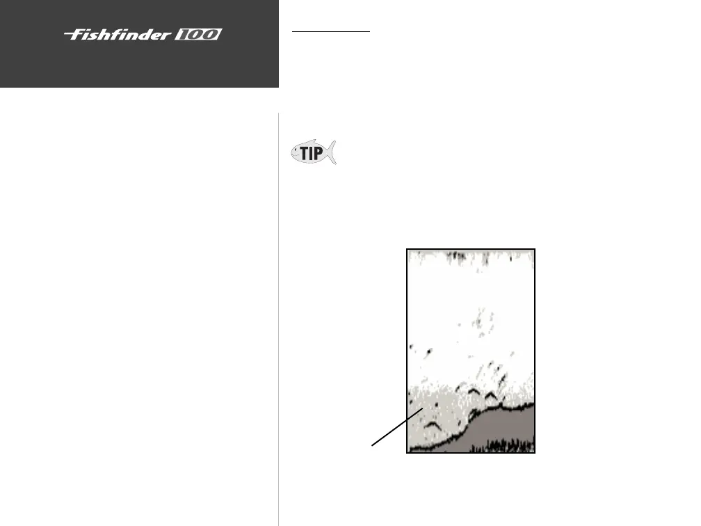 Page #40 background image