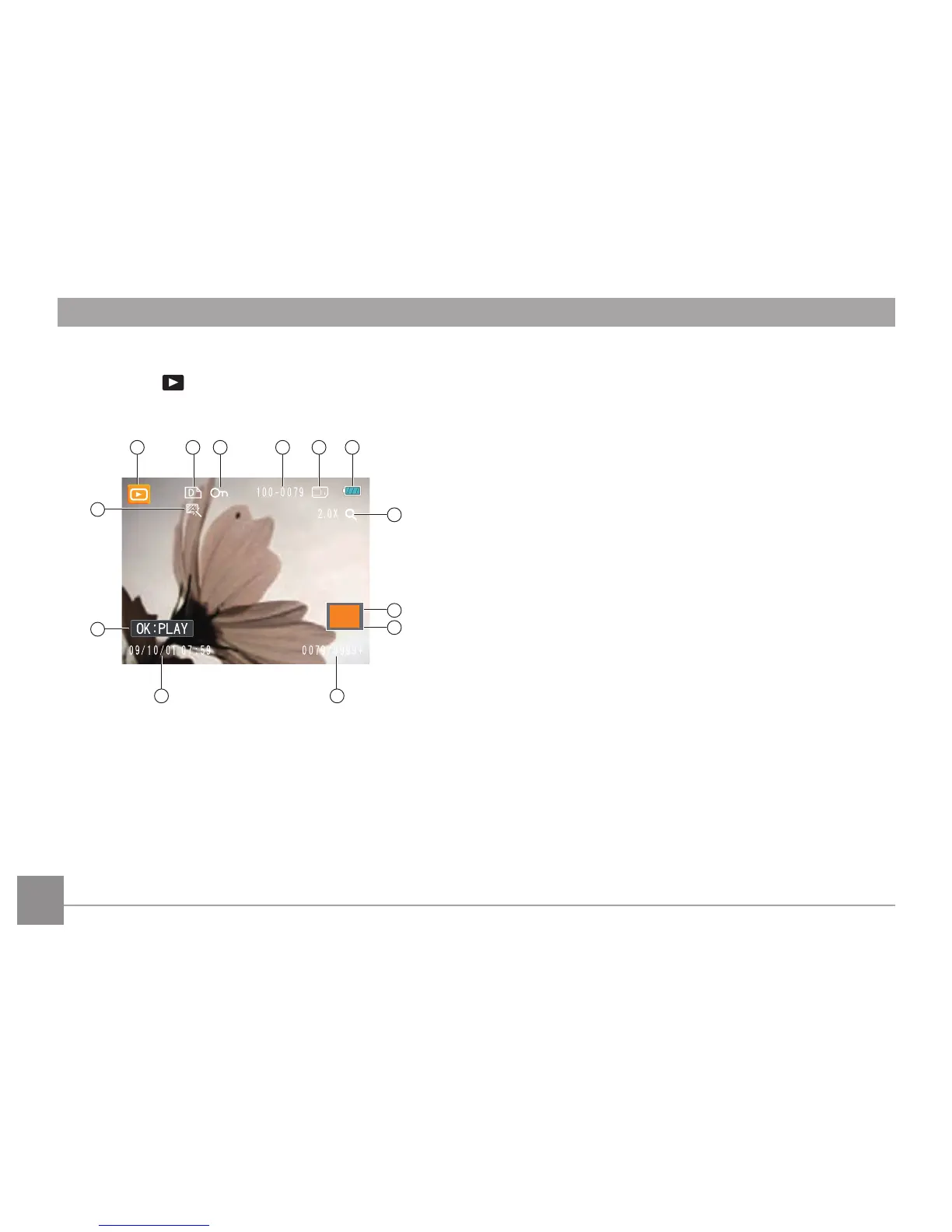 Page #31 background image