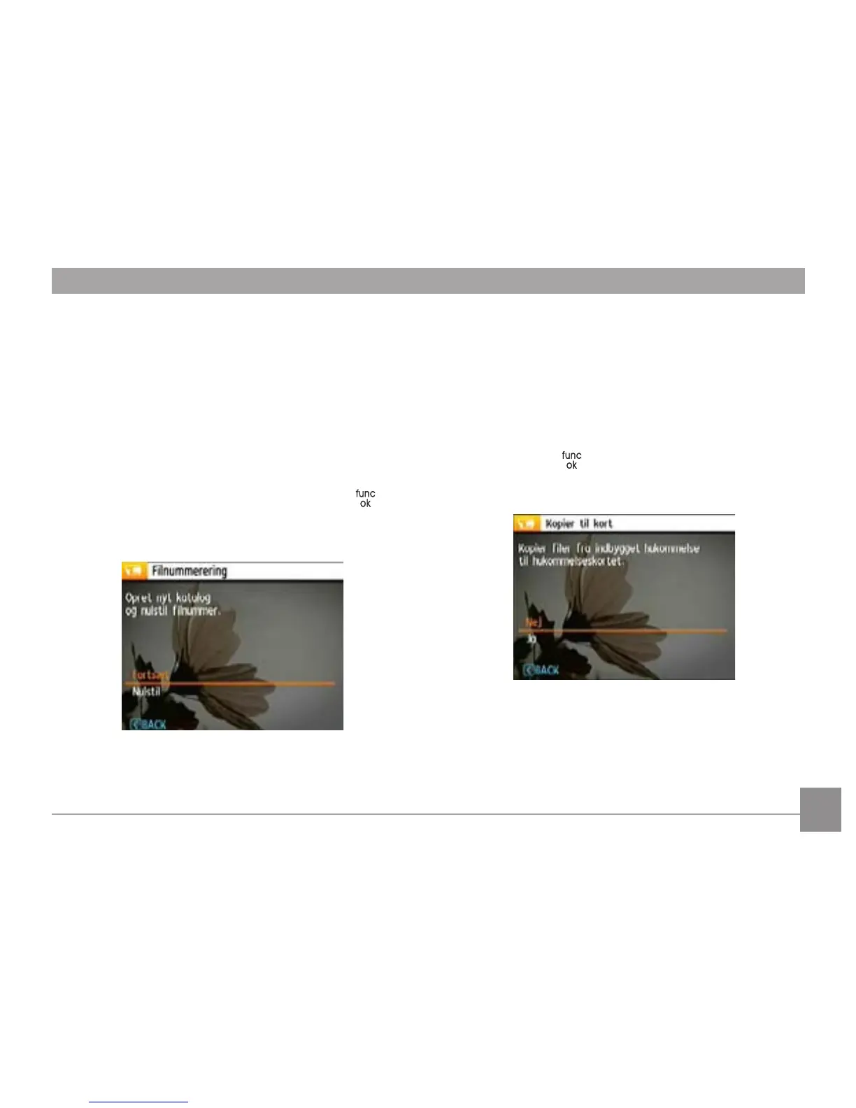Page #66 background image