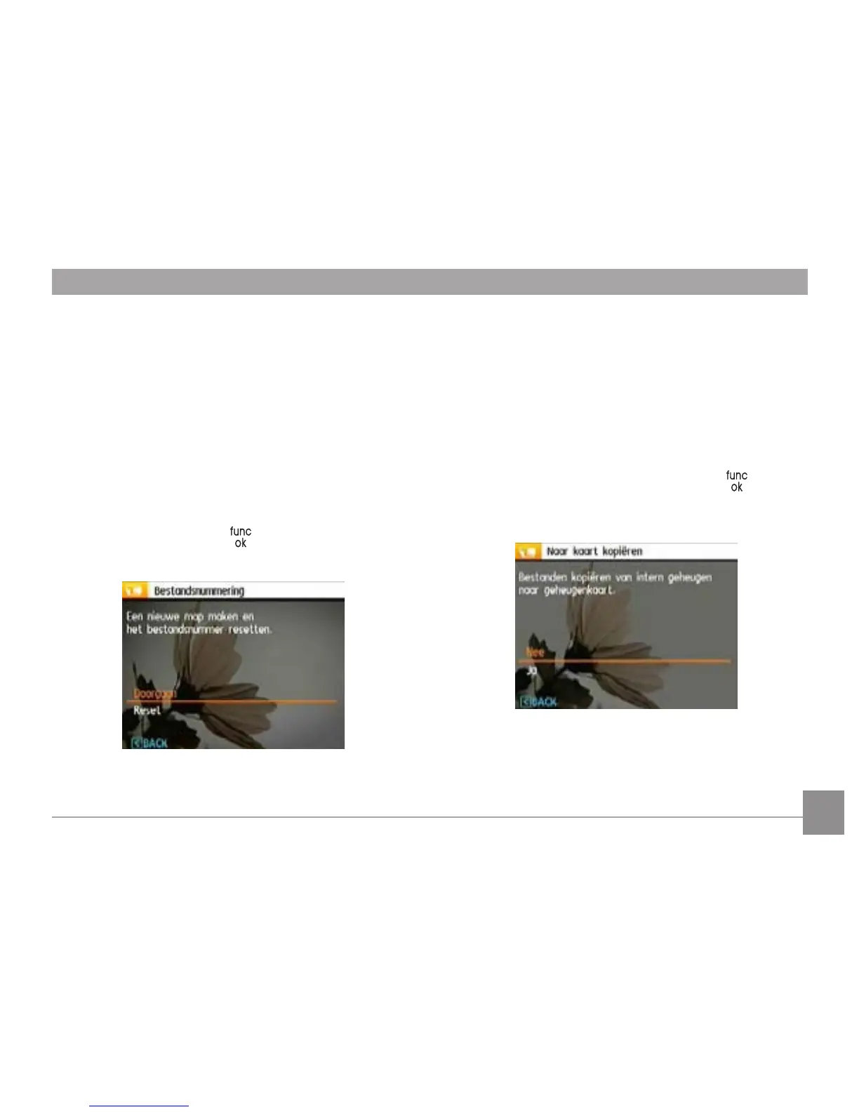 Page #66 background image