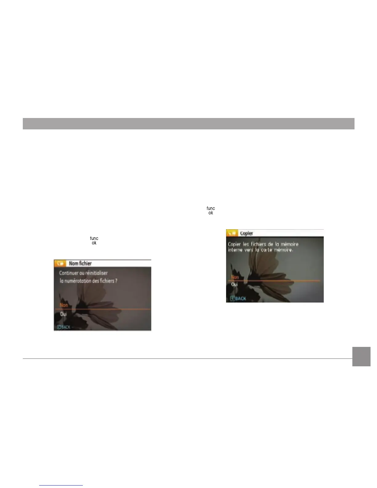 Page #66 background image