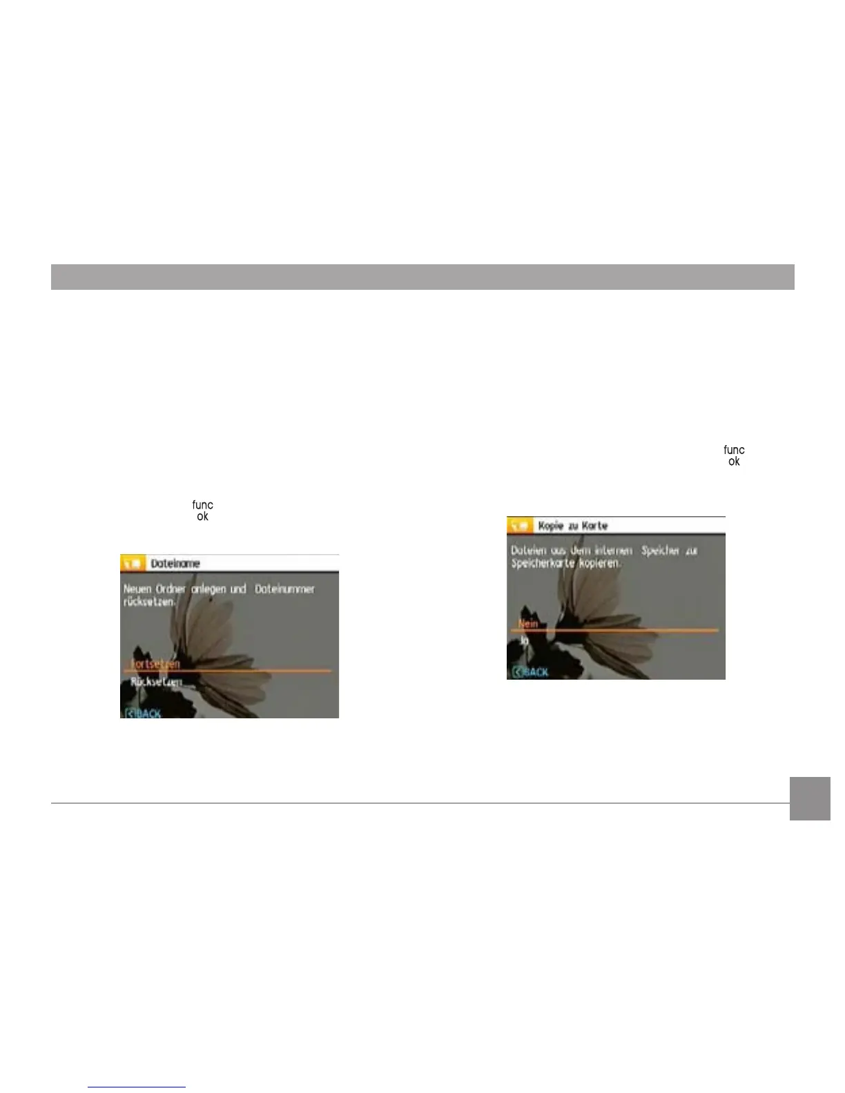 Page #66 background image