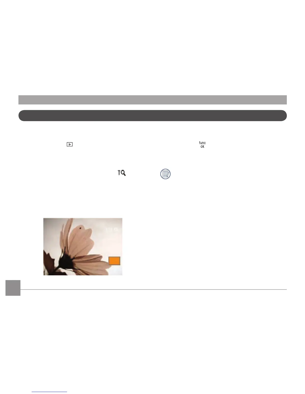 Page #43 background image