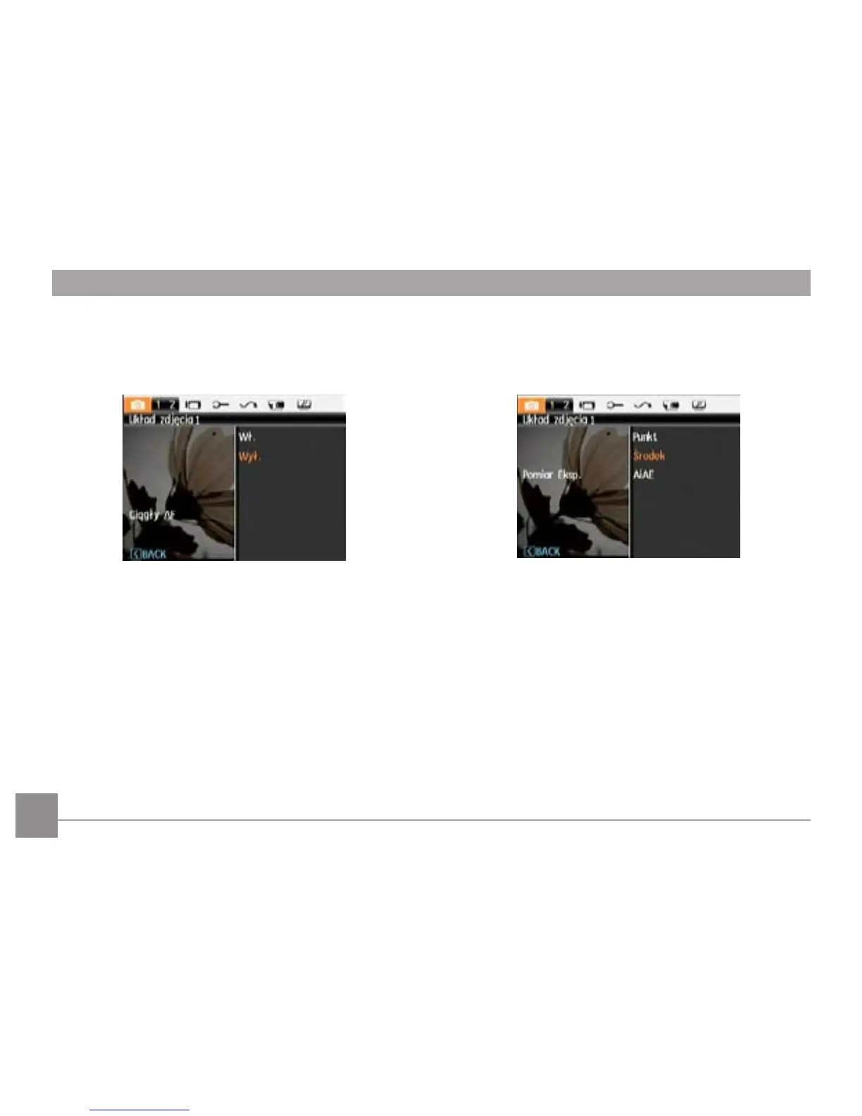Page #47 background image